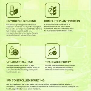Moringa Powder - Cryogenically Ground  | Aflatoxin free - Image 3